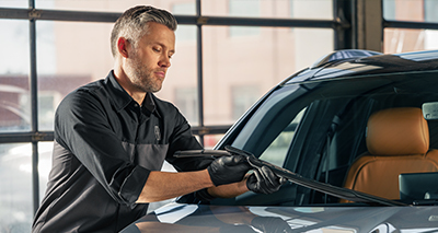 Product:Wipers:Rewards