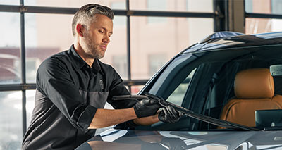 Check-Up/Inspection/Seasonal:Service:Works:Tires:Brakes:Battery:Wipers:RemoteServices